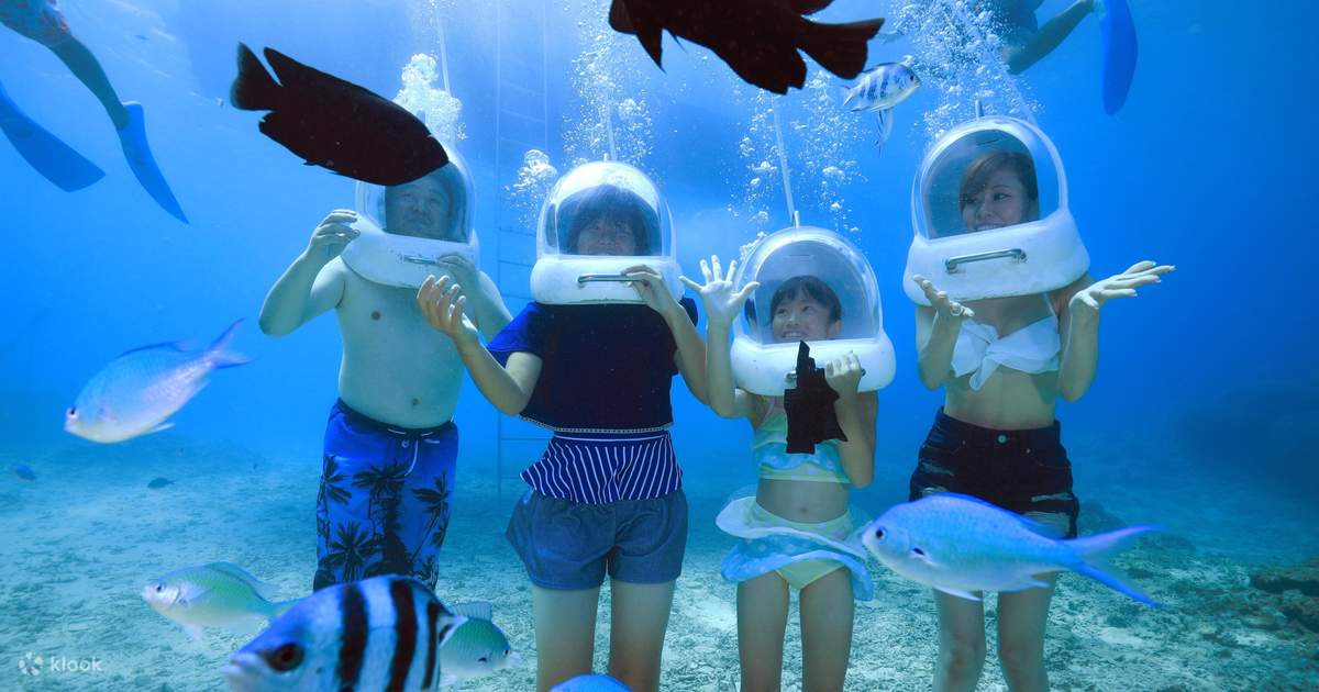 海の中